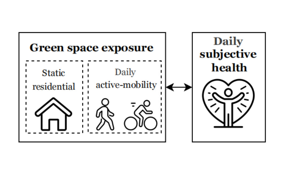 Daily active-mobility green space exposure and subjective health: An age-comparative perspective