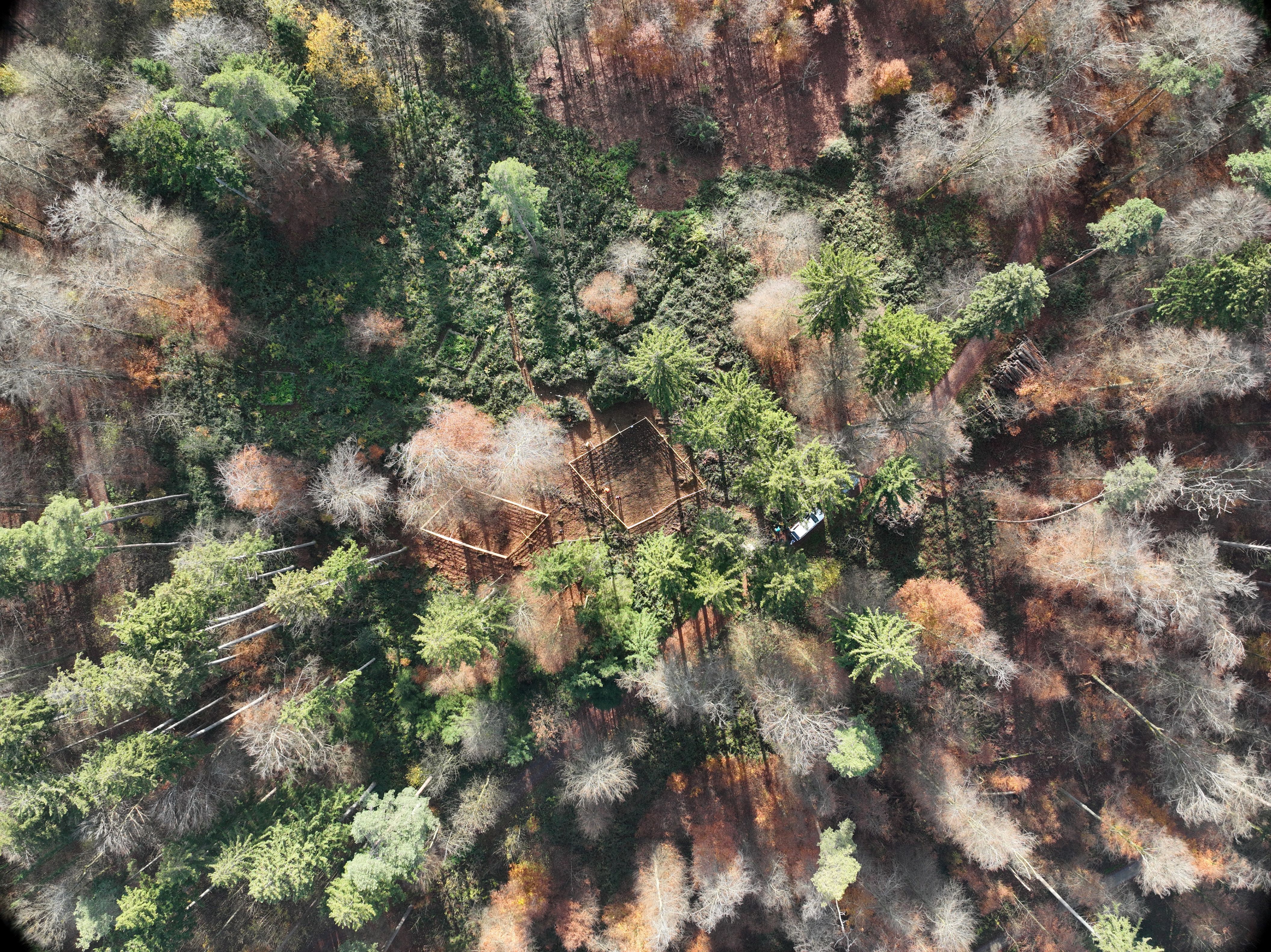 Macrogarden_Effretikon_Meredith_Schuman