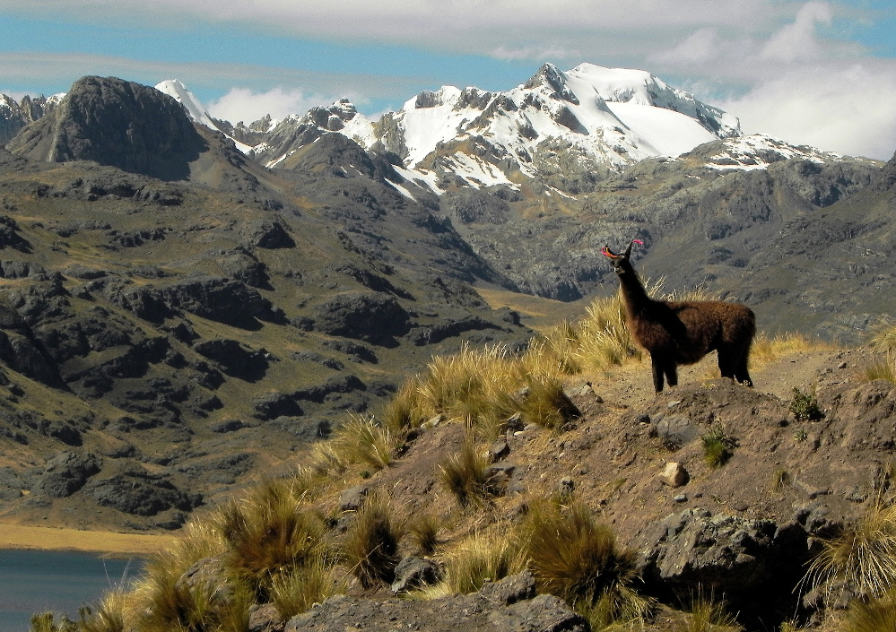 Andean landscape around Yuracmayo, Central Andes of Peru