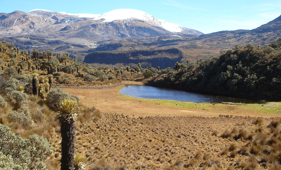 Sustainable and climate-resilient management of high-Andean ecosystems
